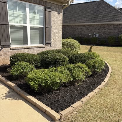 Trimmed boxwood hedges and fresh black mulch lining a brick home